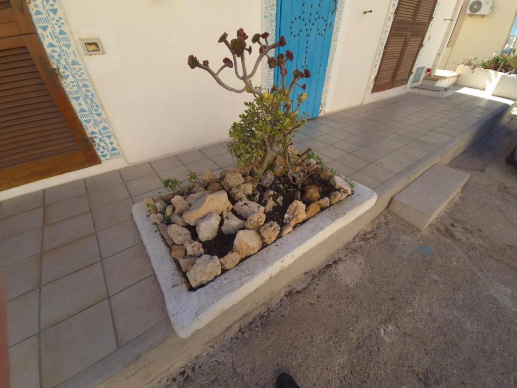 Doria Apartments - Vela - 4