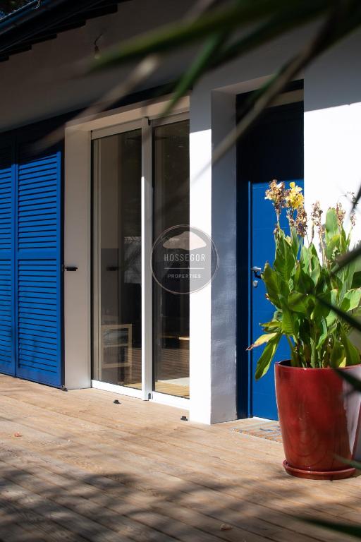Villa Goxoki - Capbreton - Centre ville - Jardin - 3