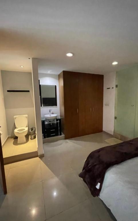 Amazing loft in Polanco - 5