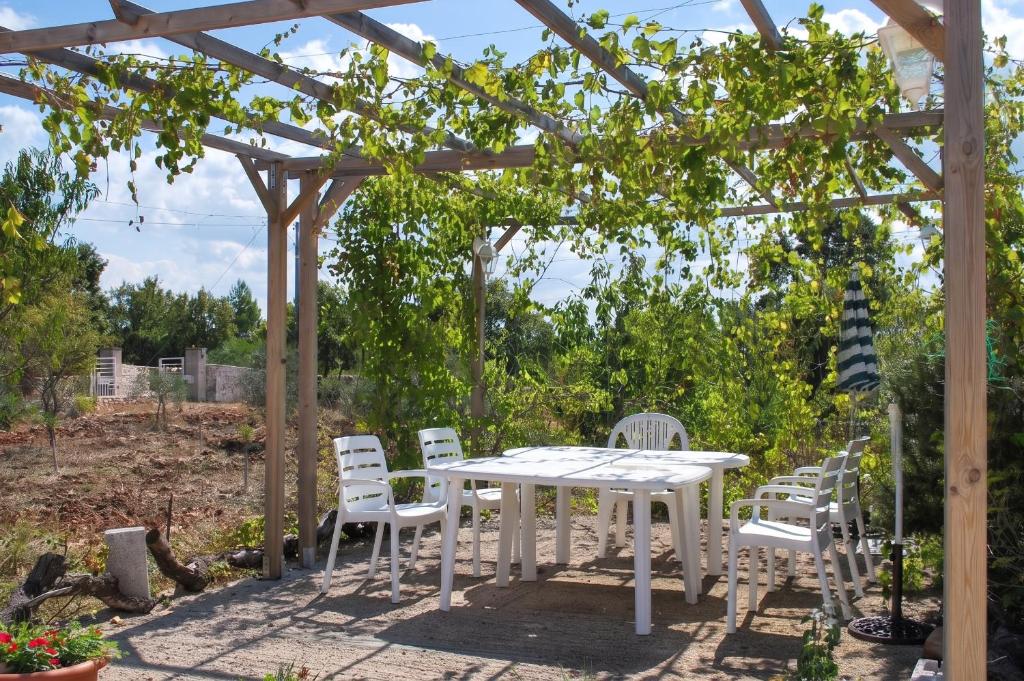 Charming house in Locorotondo, enclosed garden - 5