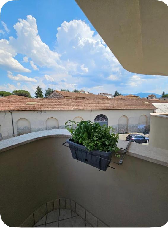 Il Nido del Borgo - 5