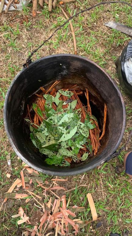 La Lagartija Amazon Ayahuasca Retreat Peru - 1