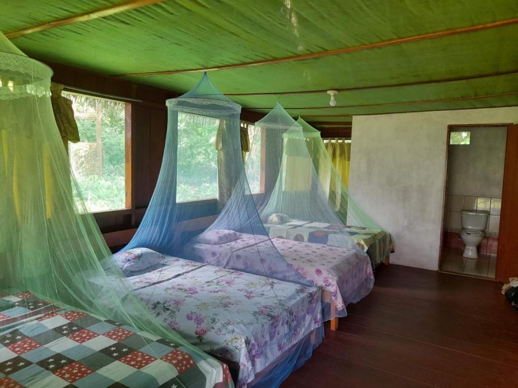 La Lagartija Amazon Ayahuasca Retreat Peru - 3