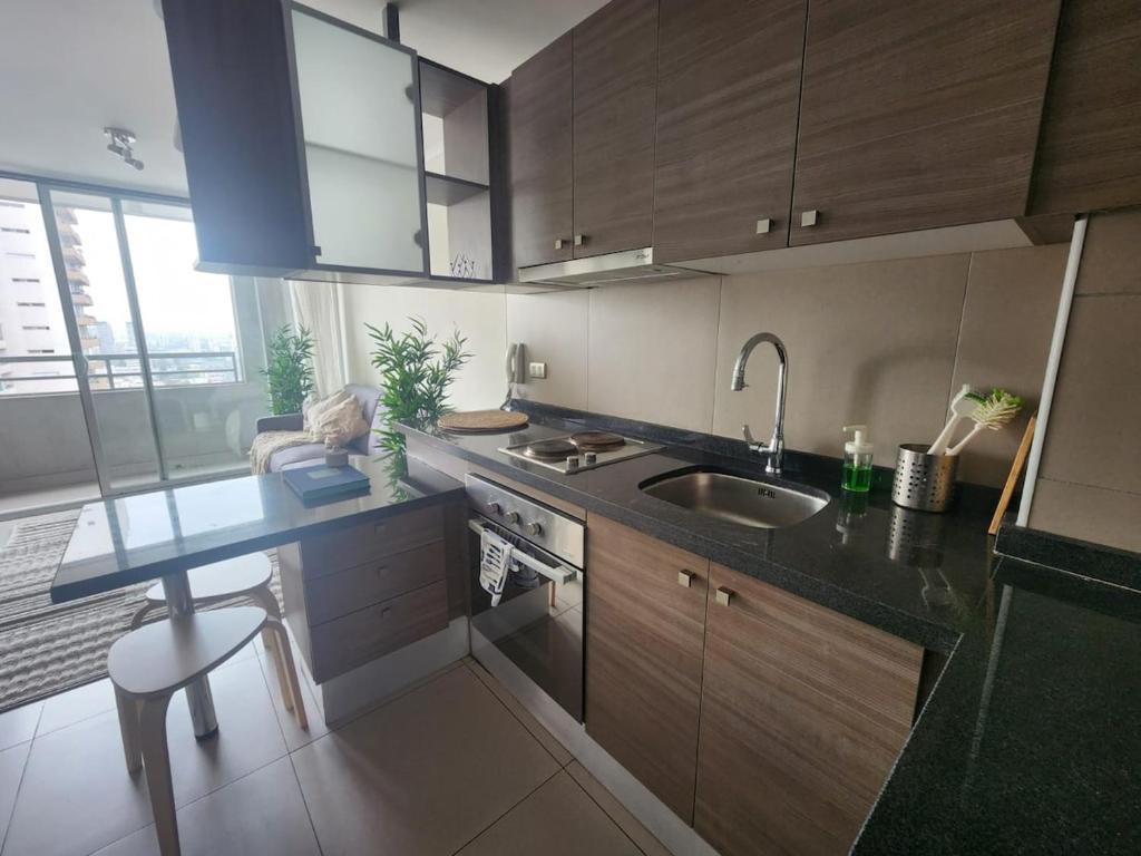 Comfortable apartment in downtown Santiago - 2