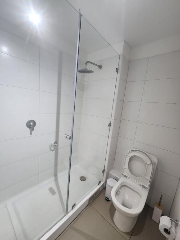 Comfortable apartment in downtown Santiago - 5