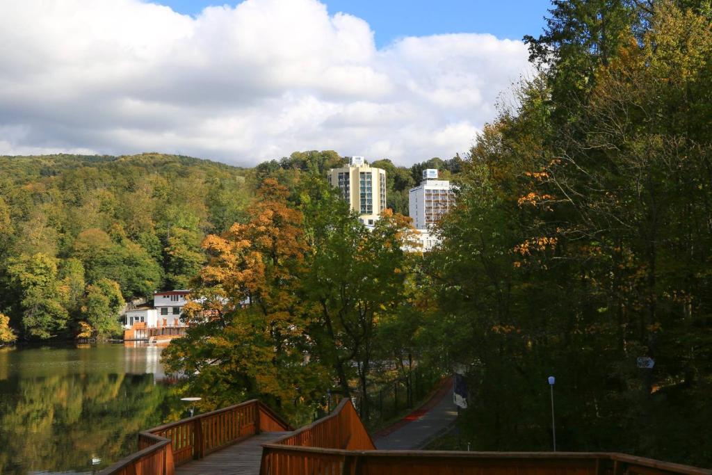 スポーツ/アクティビティ