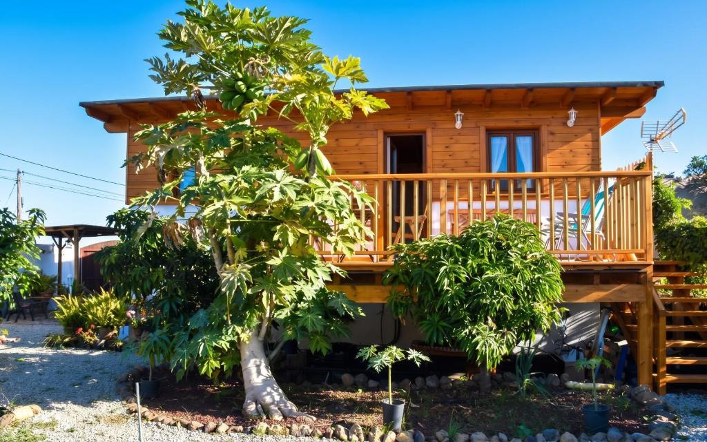Charming house in Icod de los Vinos with garden 70 m² - 4