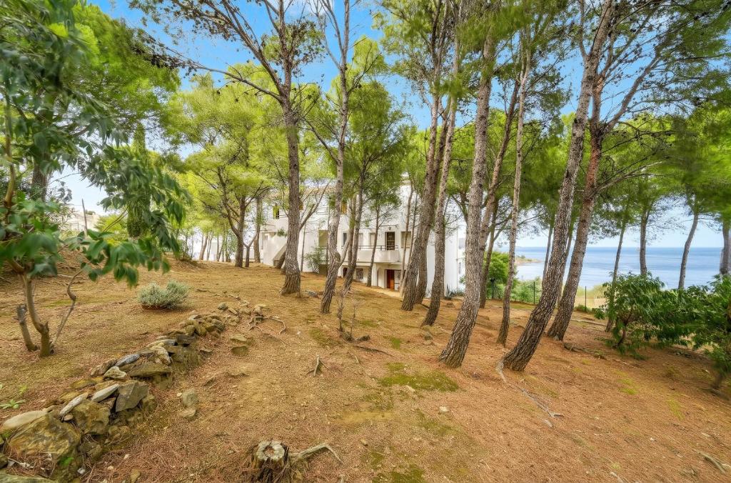Cozy apartment in Llançà 30 m² with sea view - 4