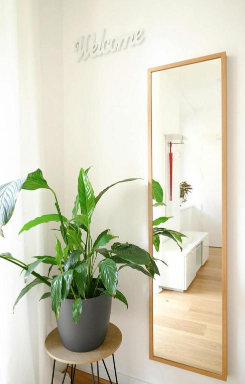 Elegante Apartamento en el Corazon de Madrid - 3