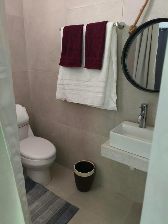 Furnished Apartment in Vista Hermosa, Monterrey - 4