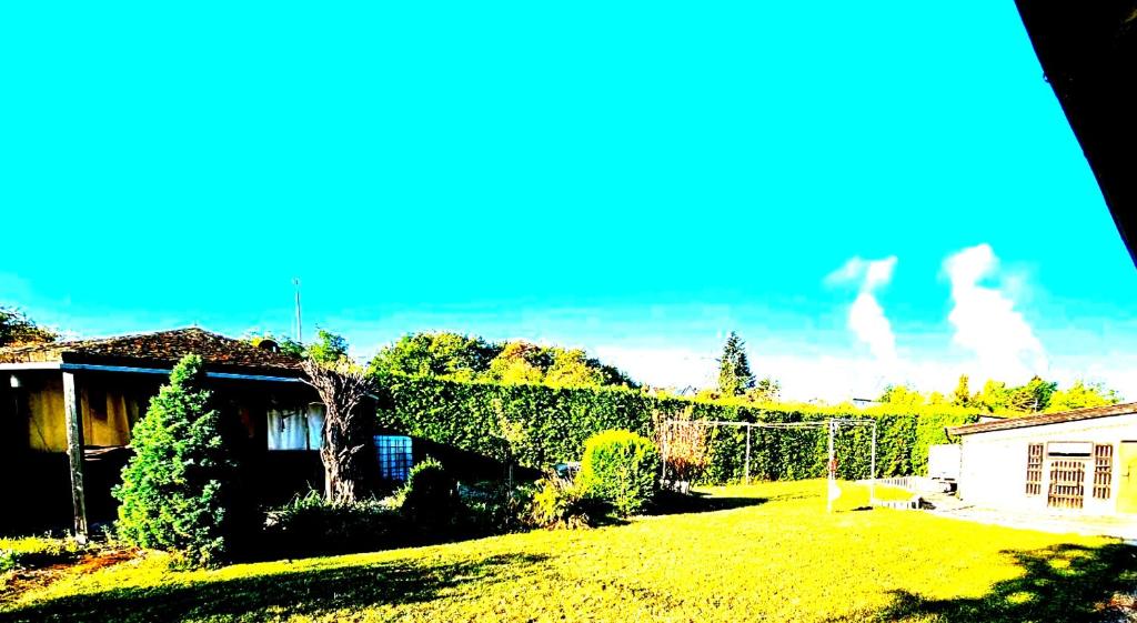 Chalet Kiefer - Huben - 5