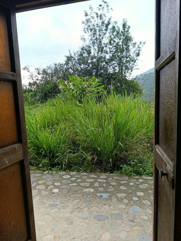 La CABAÑA EN LA NATURALEZA - 3