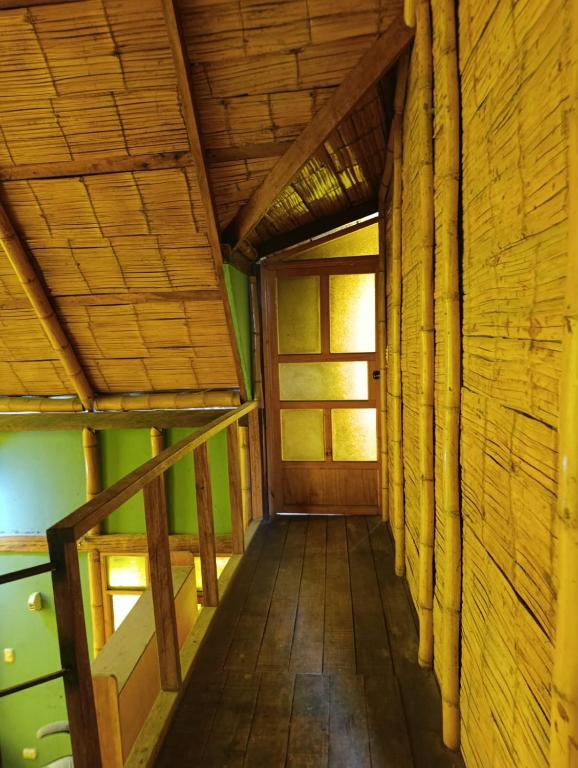La CABAÑA EN LA NATURALEZA - 5
