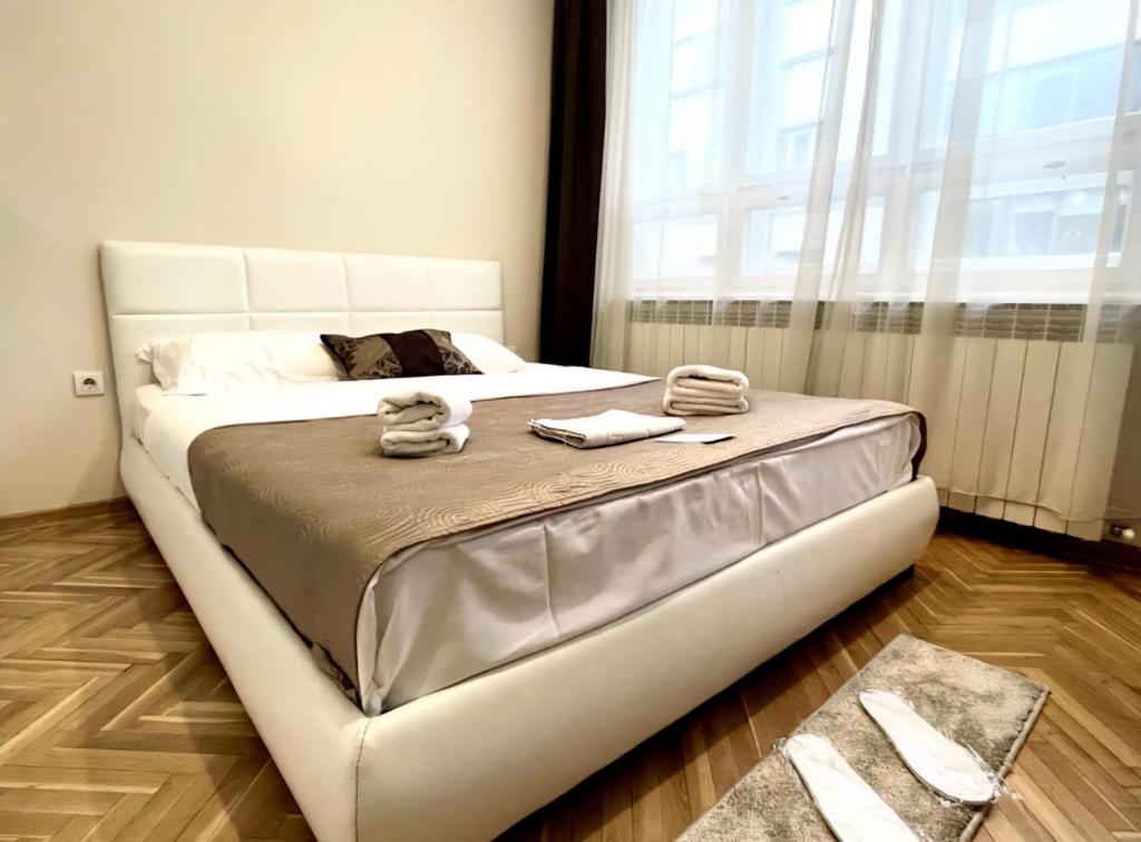 TOP LOCATION City centar apartment Knez - 2