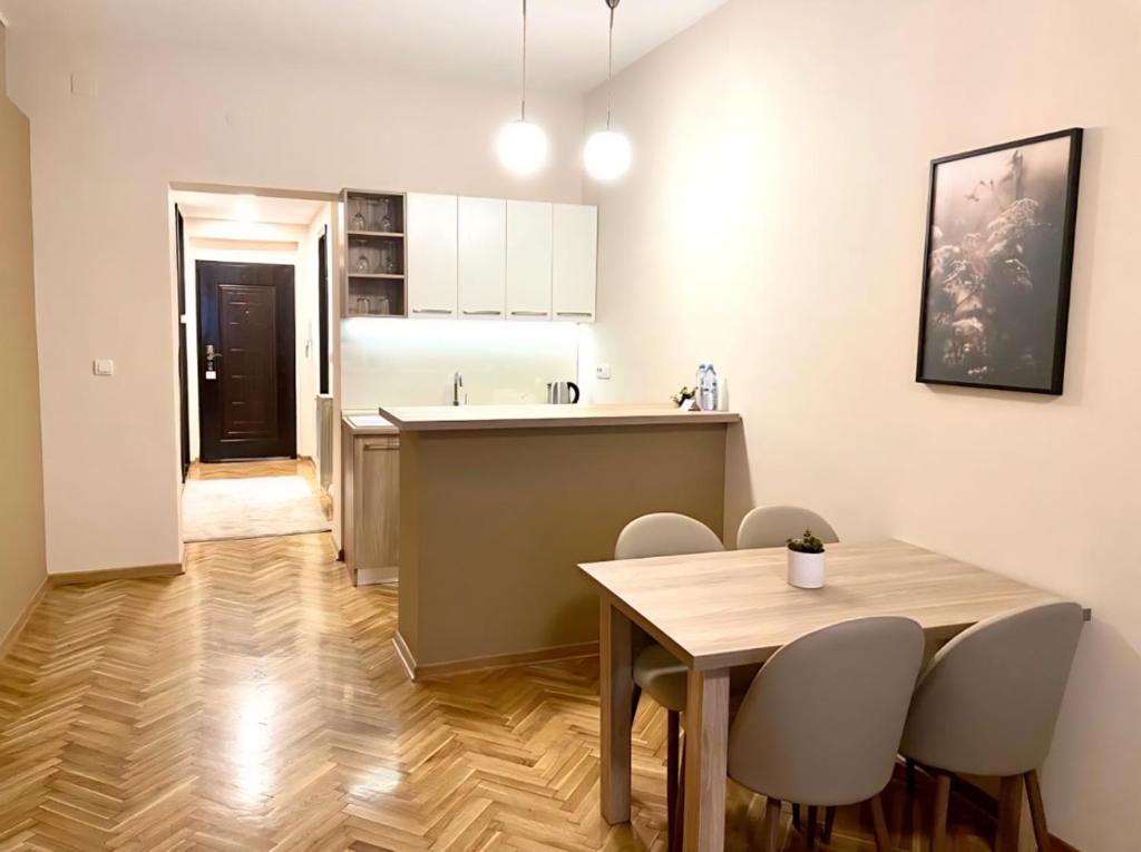 TOP LOCATION City centar apartment Knez - 5
