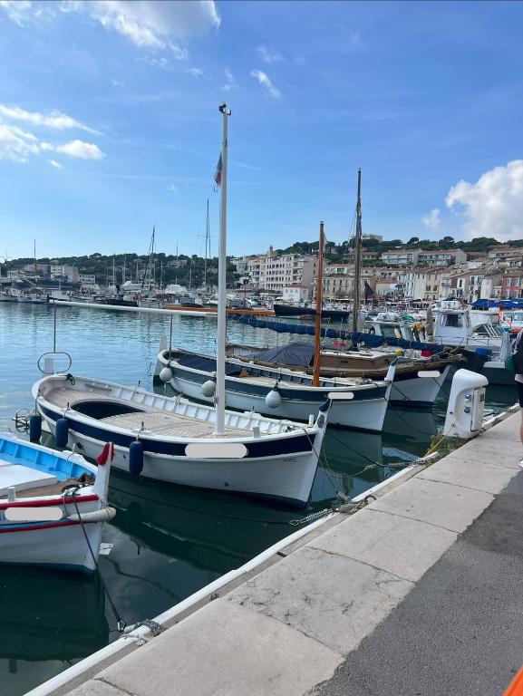 La Rose du Port - 1