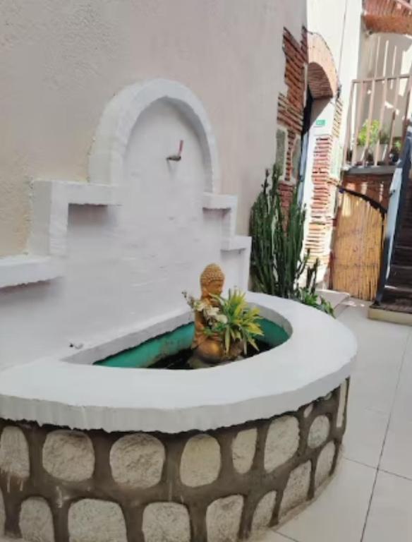 Agave Spa Suites 4 habitaciones - 1