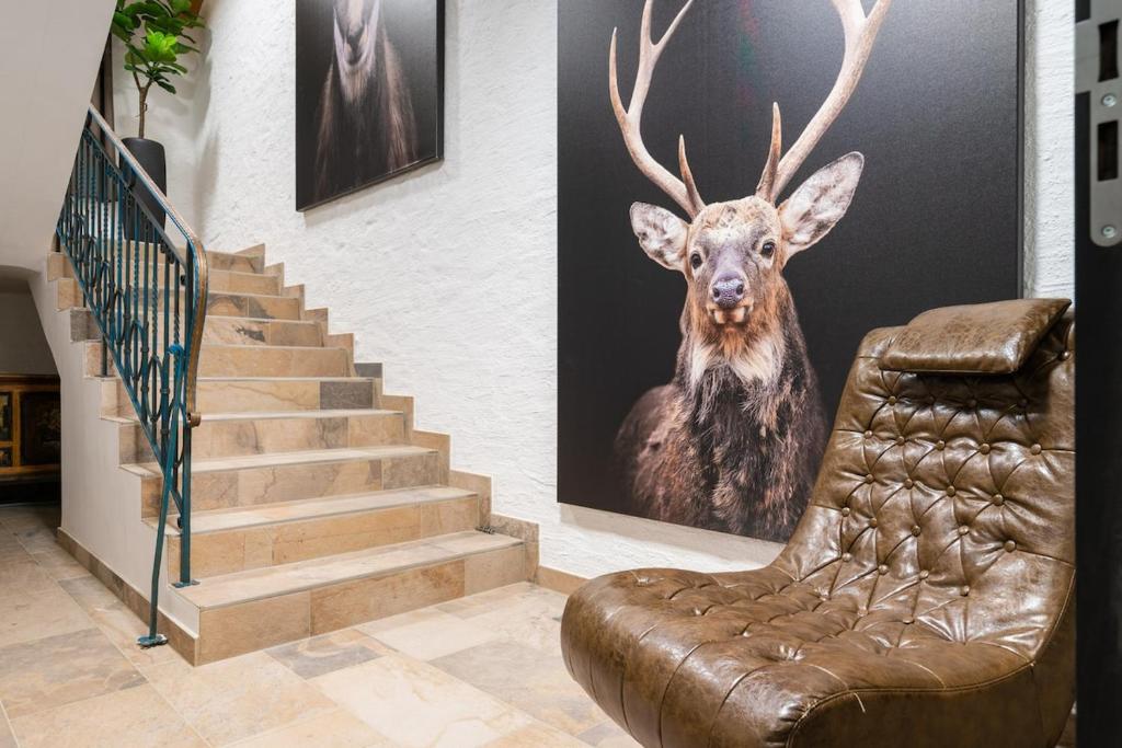 Fully equipped and beautiful property in Castelrotto - 4