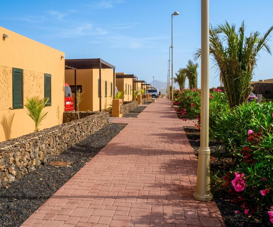 Charming Apartment La Oliva 30 sqm + Terrace - 1