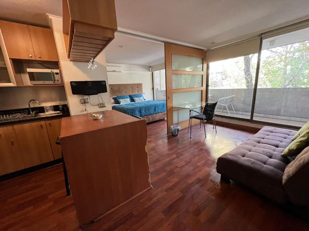 Spacious Apartment in Providencia - 1