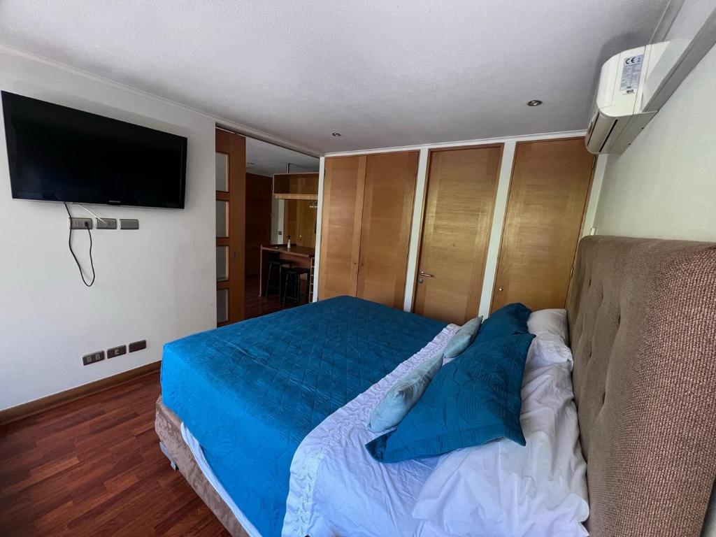 Spacious Apartment in Providencia - 2