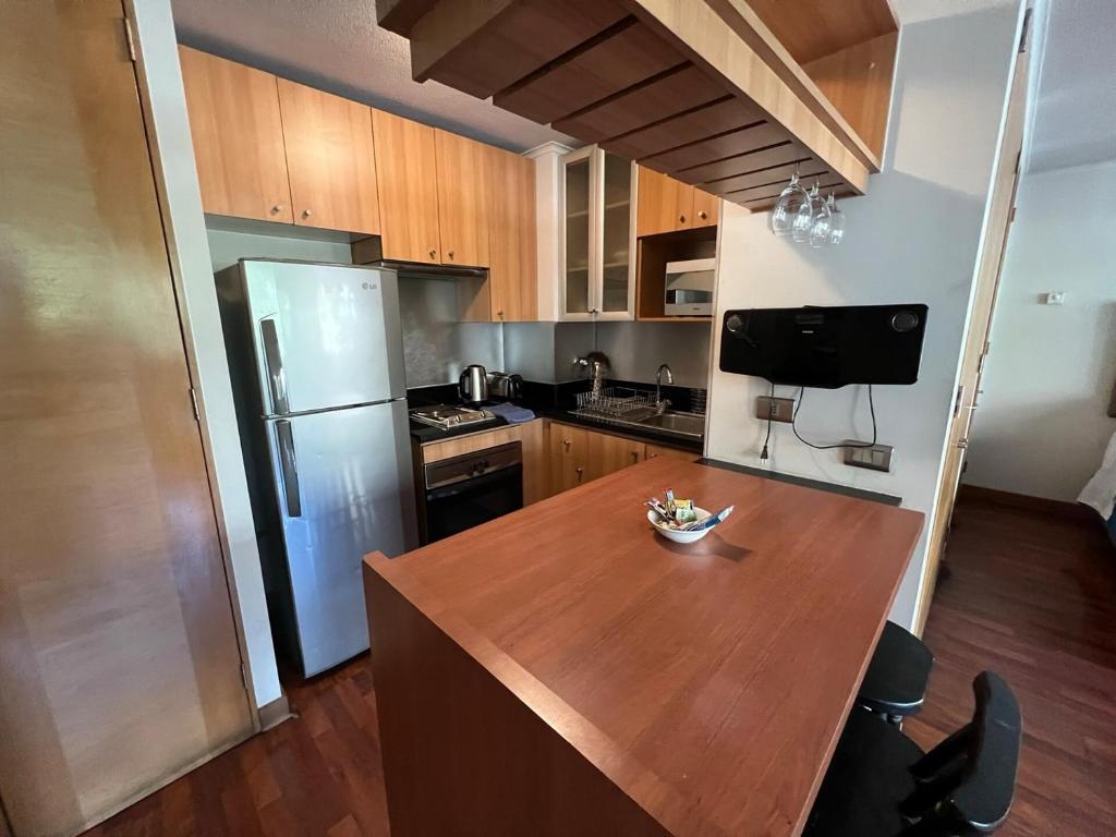 Spacious Apartment in Providencia - 5