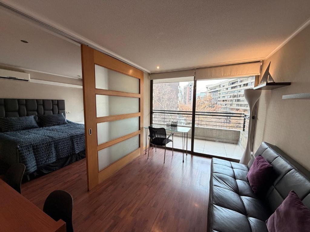 Great, Well-Located Apartment in Providencia - 1