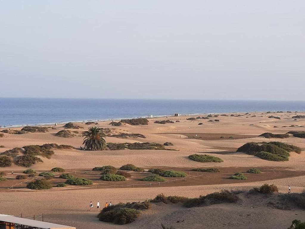Playa del Inglés Céntrico Los Molinos 135 - 2