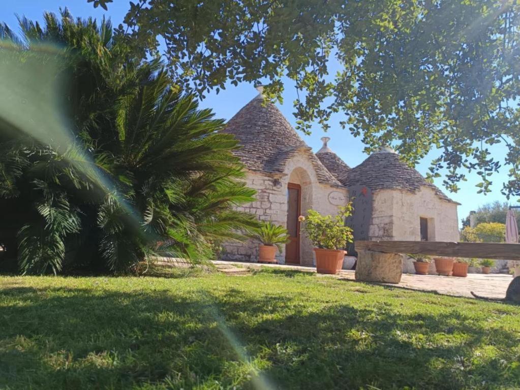 B&B La Rosa dei Trulli Alberobello - 5