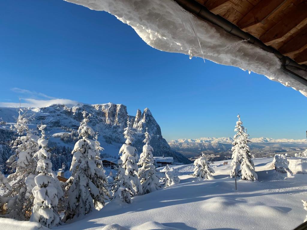 Seiser Alm Urthaler - 2
