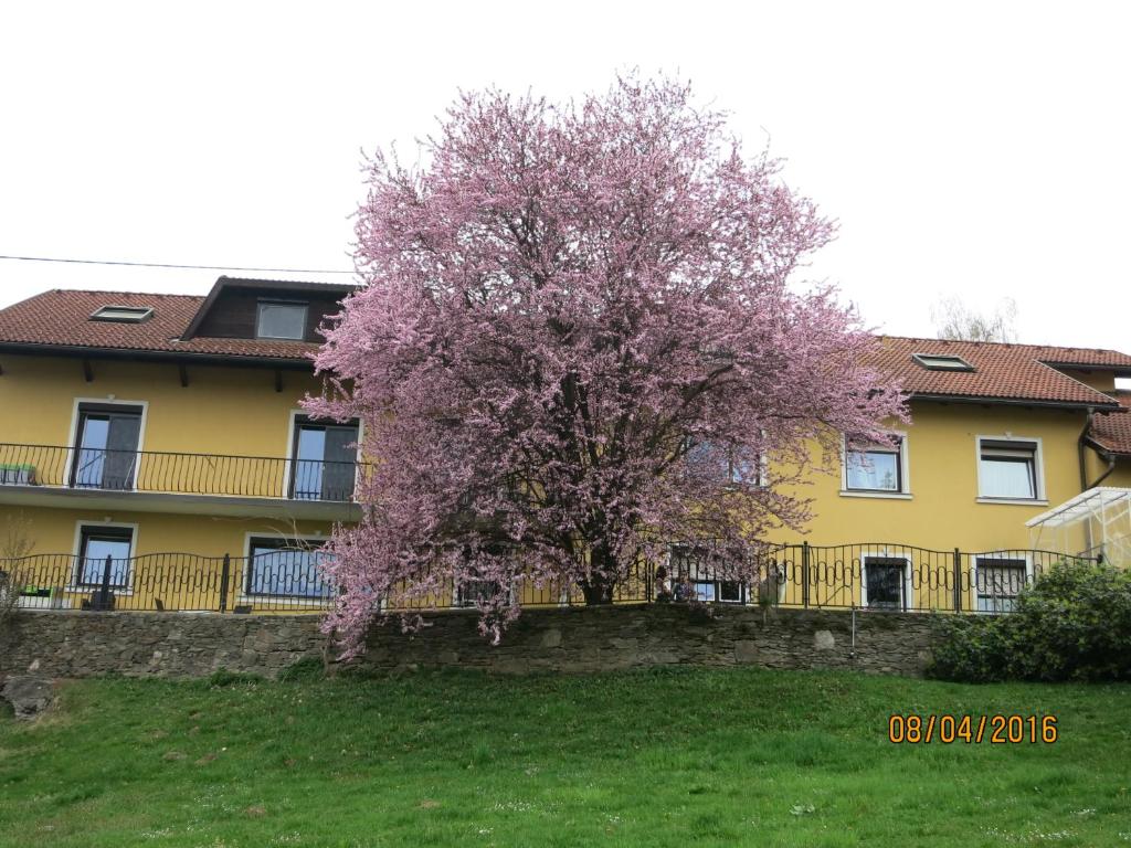 Ferienwohnungen Kremsbrucker - 4