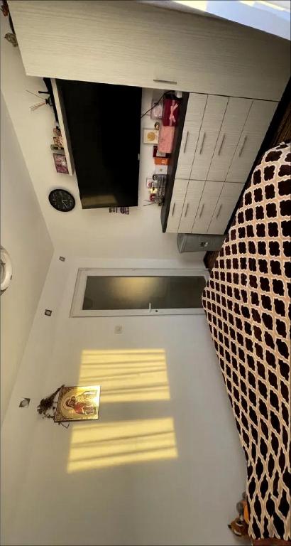 Bologna city center exclusive stay apt - 1