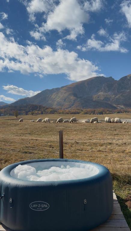 Durmitor Echo Lodge - 3