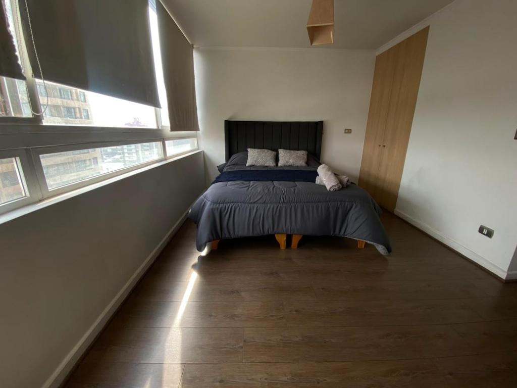 Studio in downtown Santiago, 100 por ciento equipped - 1