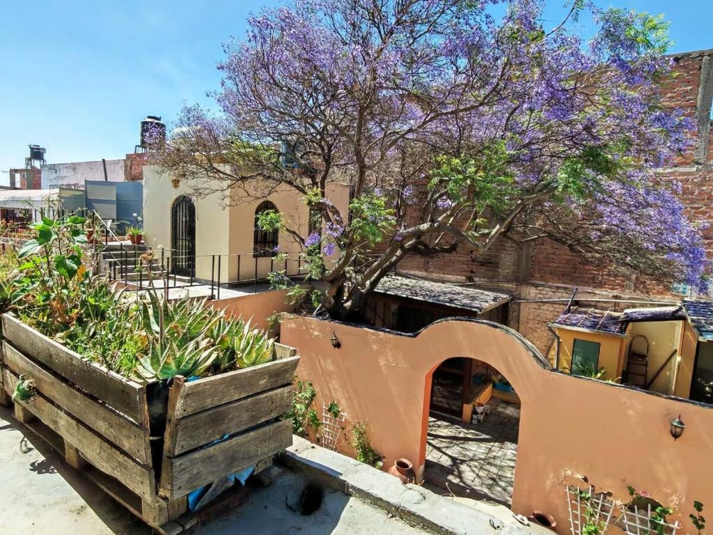 Room with Private Terrace in a Colonial Style Home - 4