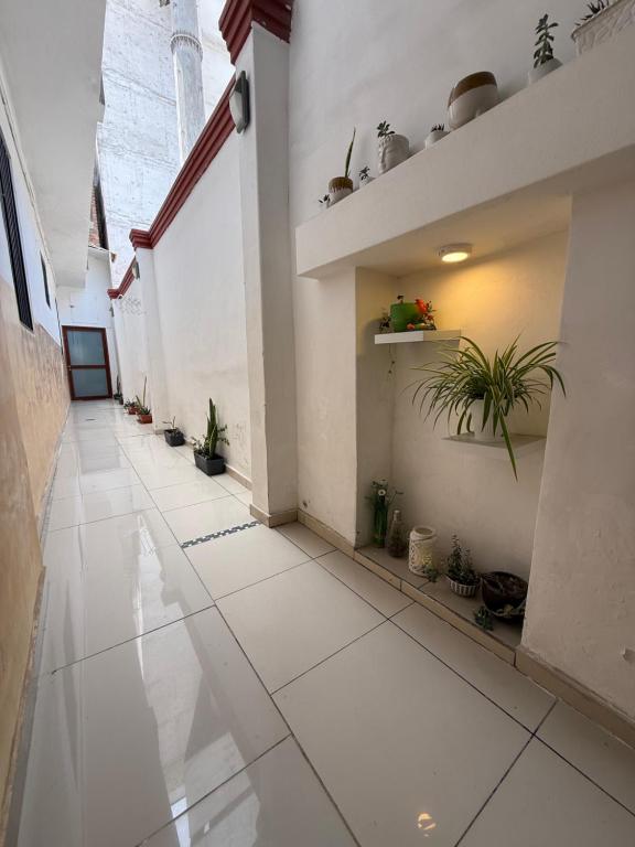 Lince Apartments - 3