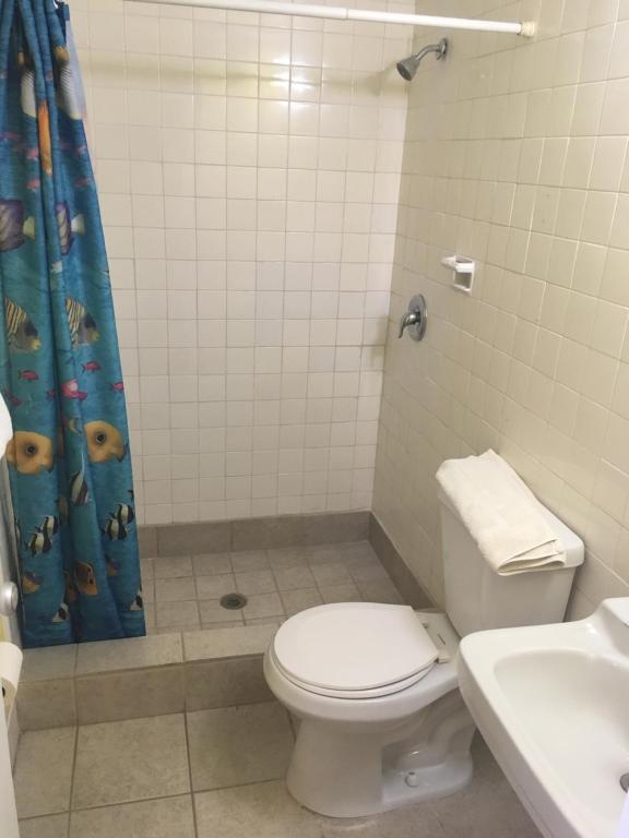 Blue Star Inn photo