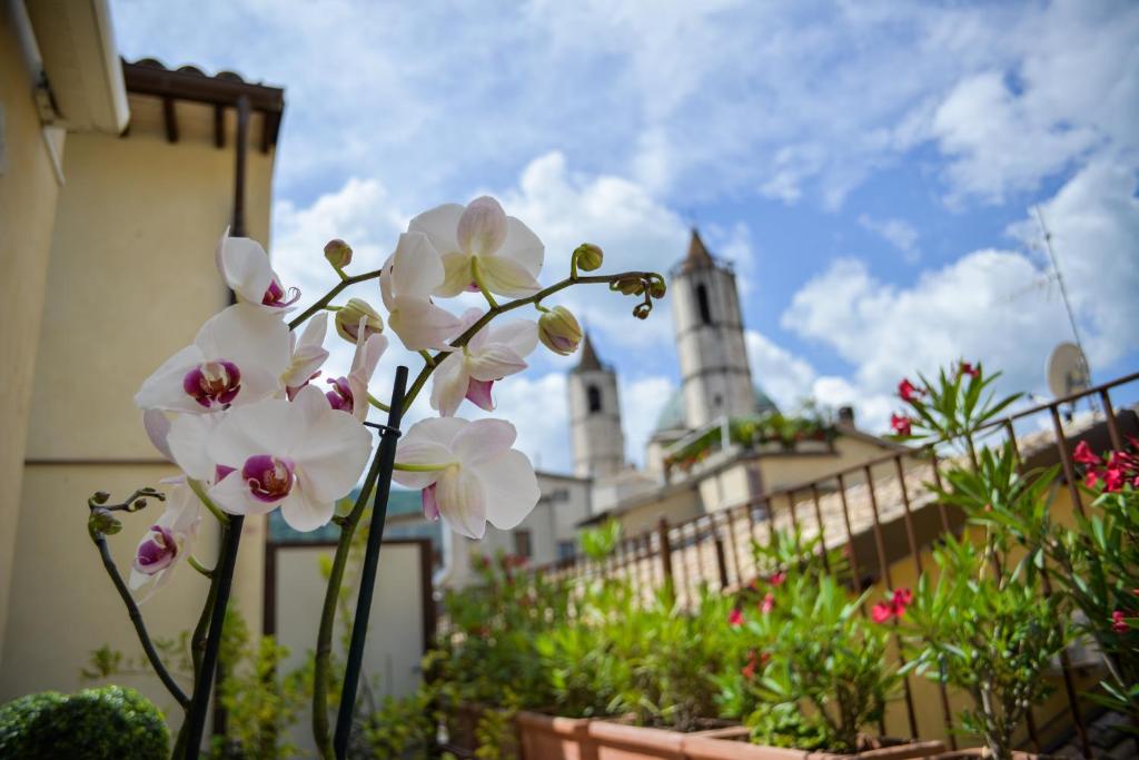 Di Sabatino Resort - Suite Apartments & Spa photo