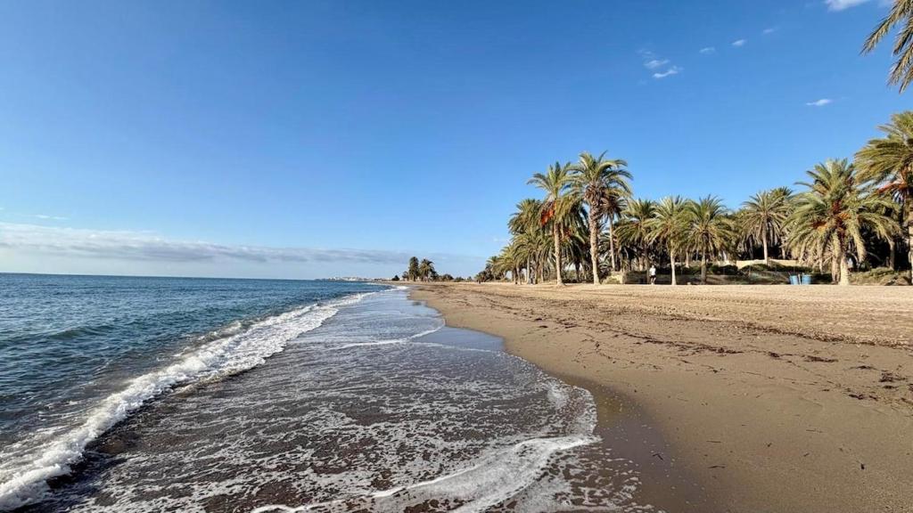Chalet El Oasis - Villa unter Palmen 2 Min zum Strand - 5