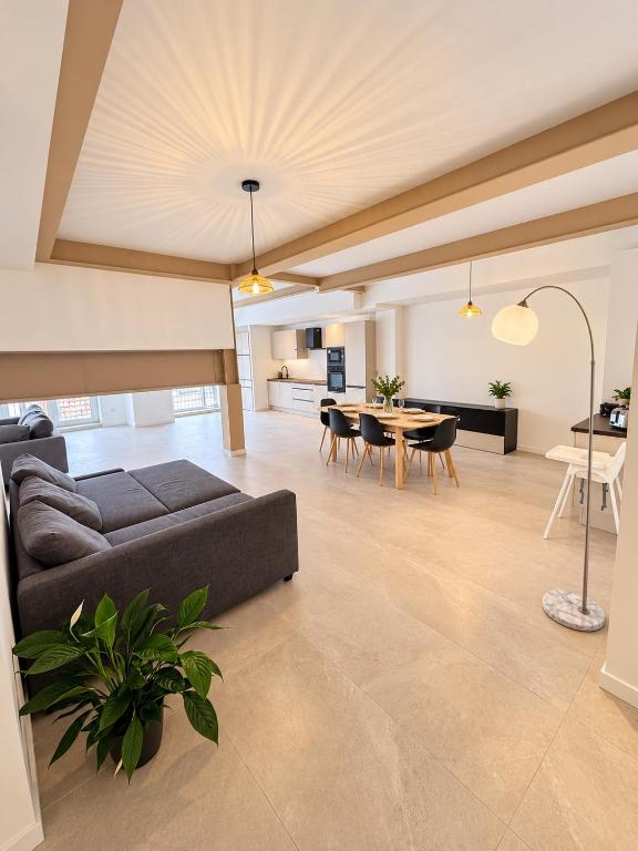 Nouveauté Loft de 155 m2 au cœur de Mulhouse - 1
