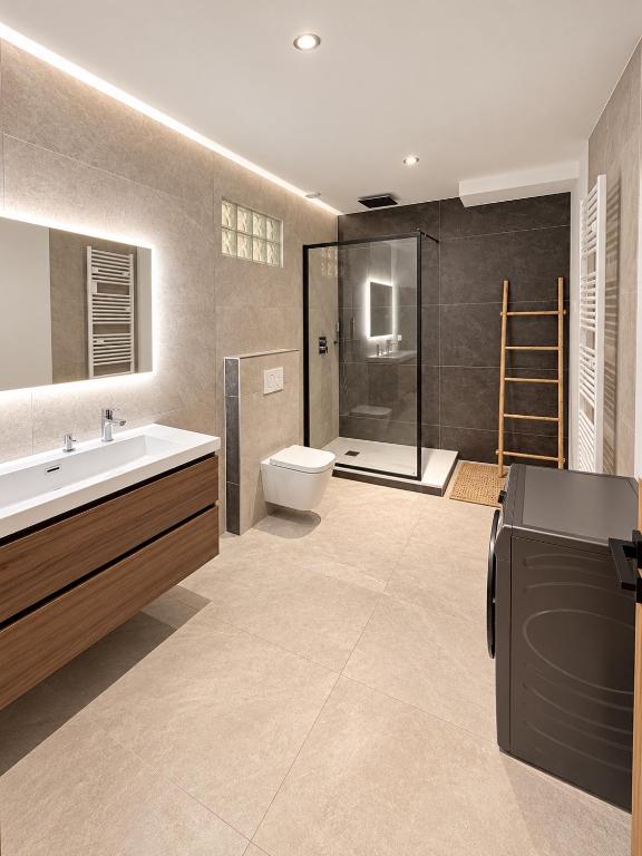Nouveauté Loft de 155 m2 au cœur de Mulhouse - 5