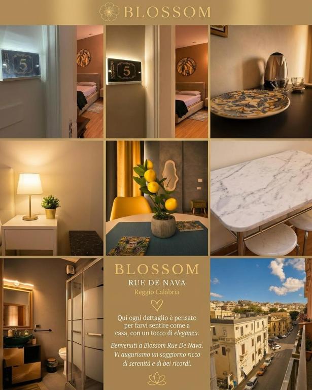 Blossom Rue De Nava - 5