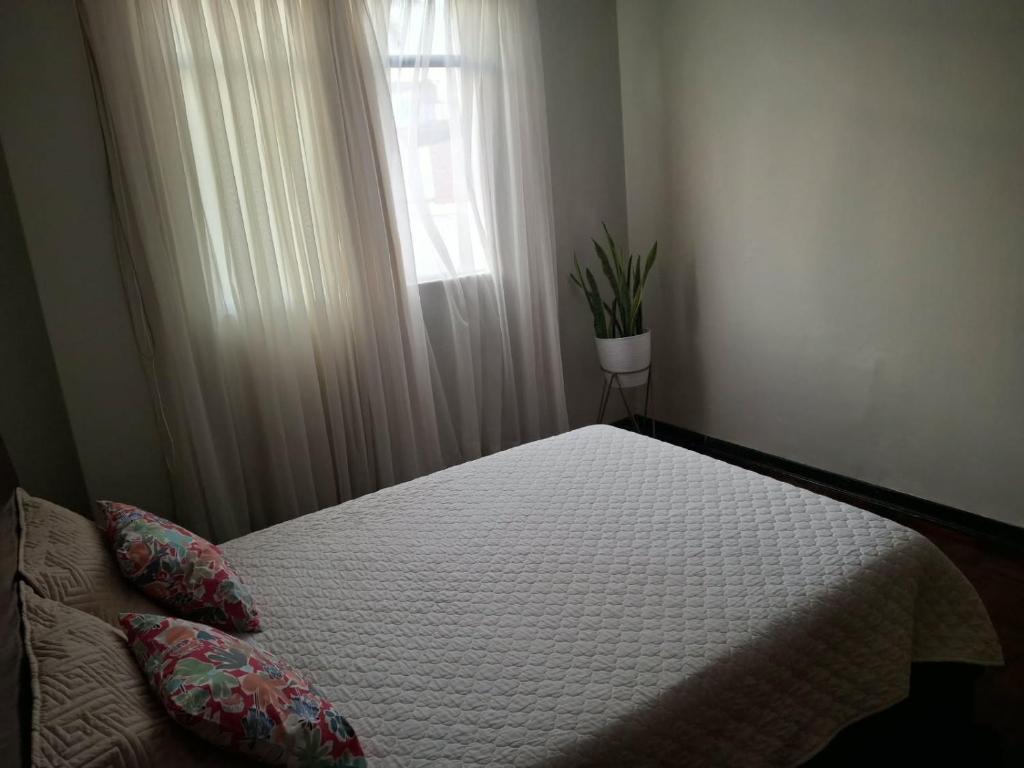 Encantador apartamento completo en San Miguel cerca a Costa 21 Arena 1 - 4