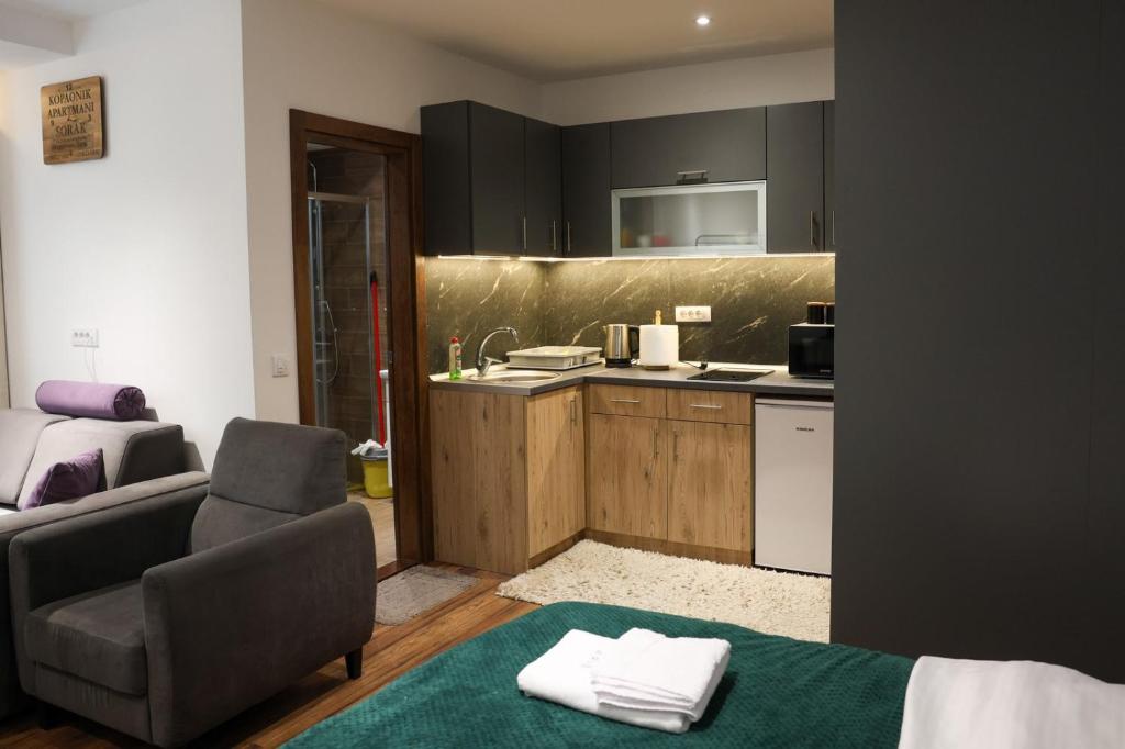A&S Apartman Kopaonik - 3