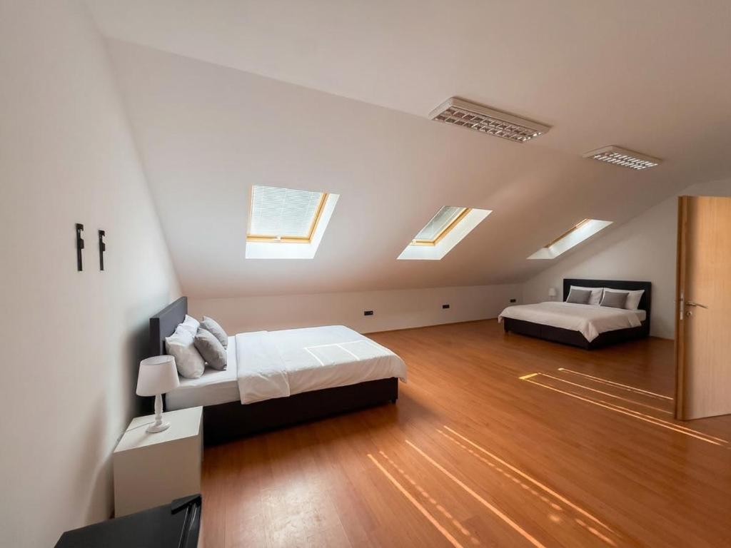 Central Belgrade Rooms - 1