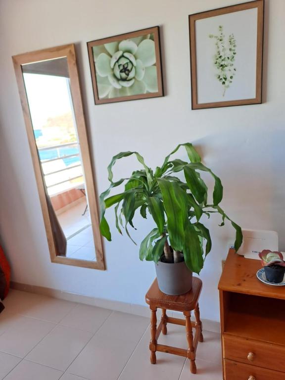 Winter Remote Work Base Monthly Stays - 4