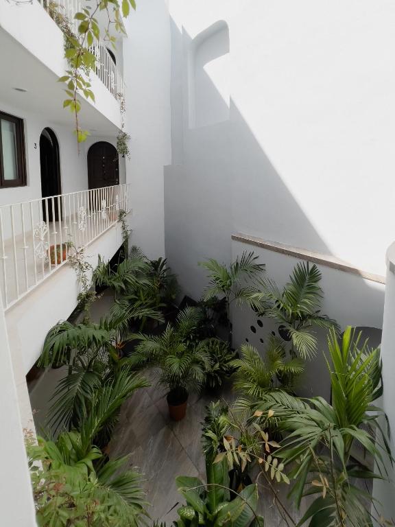 Casa Galeria 02 - 5