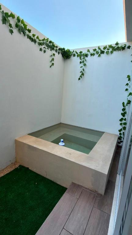 Temozon Norte - Alberca Jacuzzi y Gym - 5