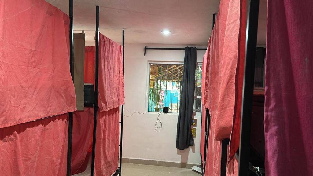 Hostal and Laundry Guacamayas - 3
