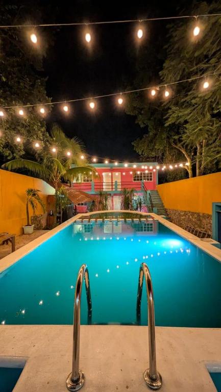 Hostal and Laundry Guacamayas - 2